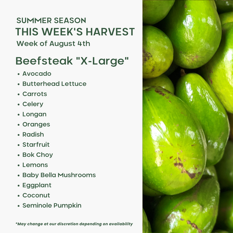 "Beefsteak" (XL), Mixed Fruit and Veggie