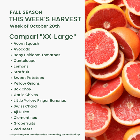 "Campari" (XXL), Fruit & Veggie Mix