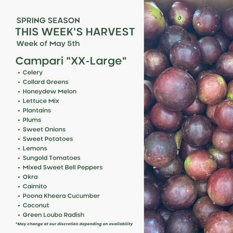 "Campari" (XXL), Fruit & Veggie Mix