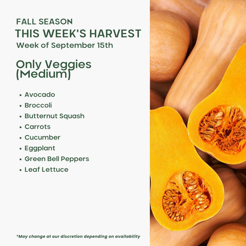 Only Veggies (Medium)
