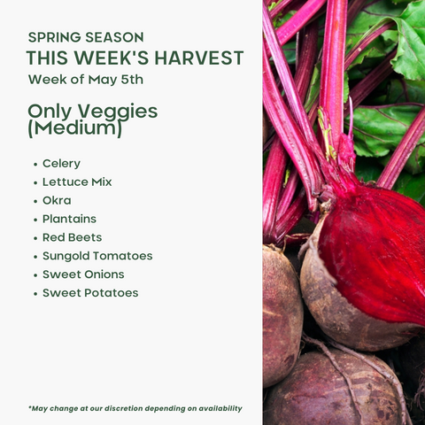 Only Veggies (Medium)