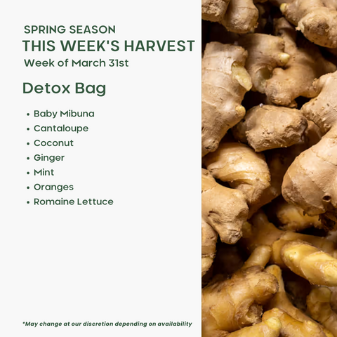 Detox Bag