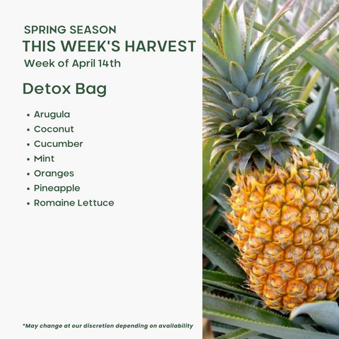 Detox Bag