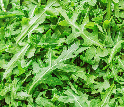 Organic Baby Greens - Green Tomato