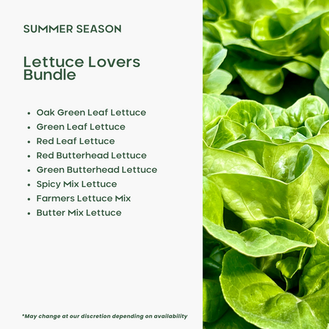 Lettuce Lovers Bundle