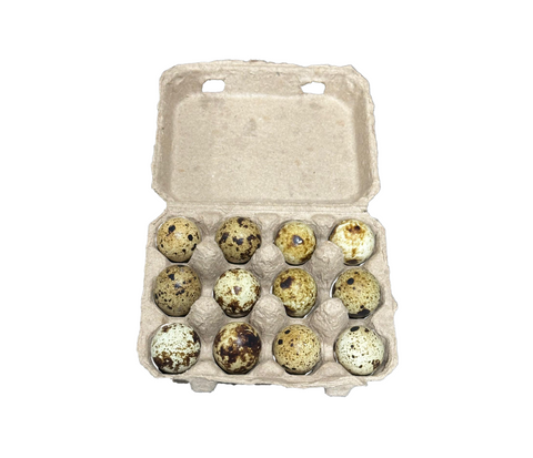 Organic Dozen Pasture-Raised Quail Eggs - Fresh from Florida Farms