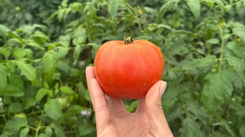 Why Your Diet Is the Most Powerful Climate Tool You Have