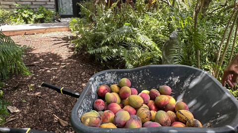Discover Agri Retreat: Your Unique Escape to a Florida Farm in Redlands