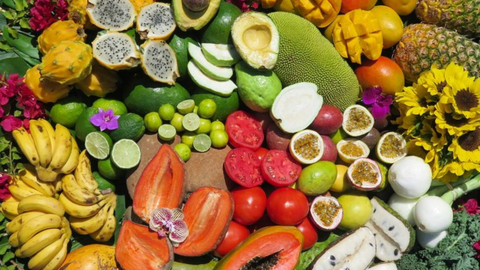 Endless Harvest: Why Florida Is Your Fresh Food Superhero (And You Might Not Even Know It!)