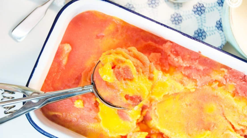 Florida Mango & Watermelon Sorbet