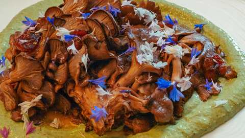 Slow Braised Mushrooms with Green Tahini Goddess