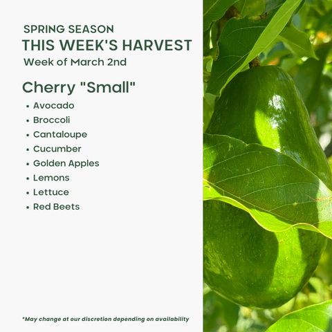 "Cherry" (Small), Mixed Fruit and Veggie