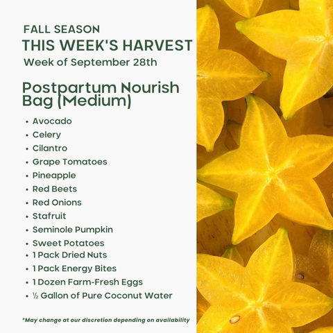 Postpartum Nourish Bag (Medium), Mixed Fruit and Veggie