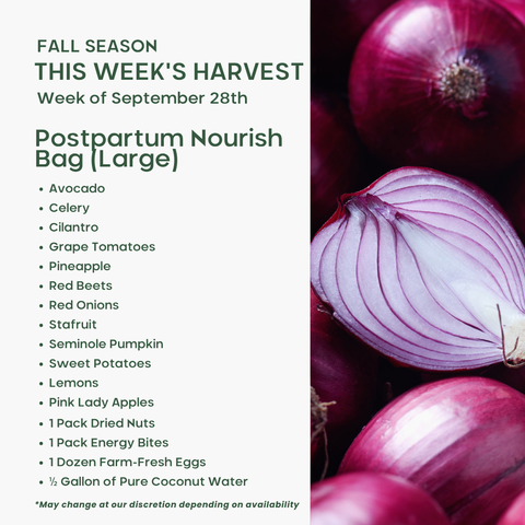 Postpartum Nourish Bag (Large), Mixed Fruit and Veggie