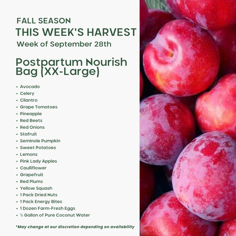 Postpartum Nourish Bag (XX-Large), Mixed Fruit and Veggie