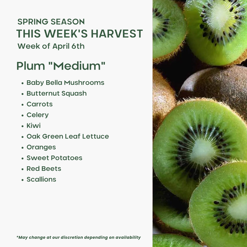 "Plum" (Medium), Mixed Fruit and Veggie