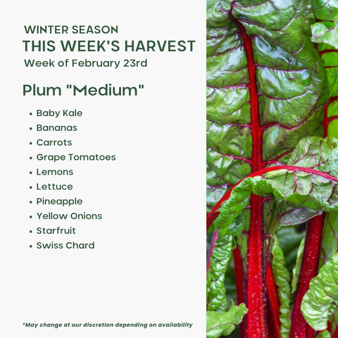 "Plum" (Medium), Mixed Fruit and Veggie