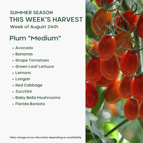 "Plum" (Medium), Mixed Fruit and Veggie
