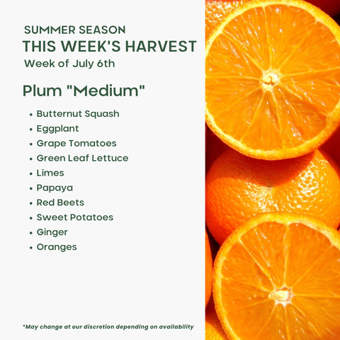 "Plum" (Medium), Mixed Fruit and Veggie