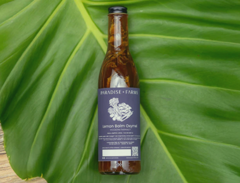 Paradise Farms lemon balm oxymel bottle on tropical leaf background, made by Florida artisan