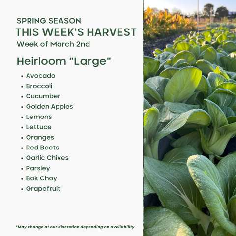 "Heirloom" (Large), Mixed Fruit and Veggie