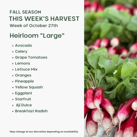 "Heirloom" (Large), Mixed Fruit and Veggie