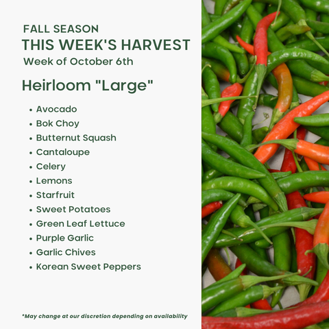 "Heirloom" (Large), Mixed Fruit and Veggie