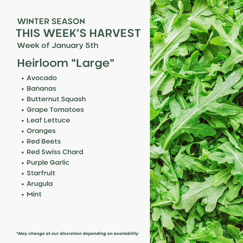 "Heirloom" (Large), Mixed Fruit and Veggie