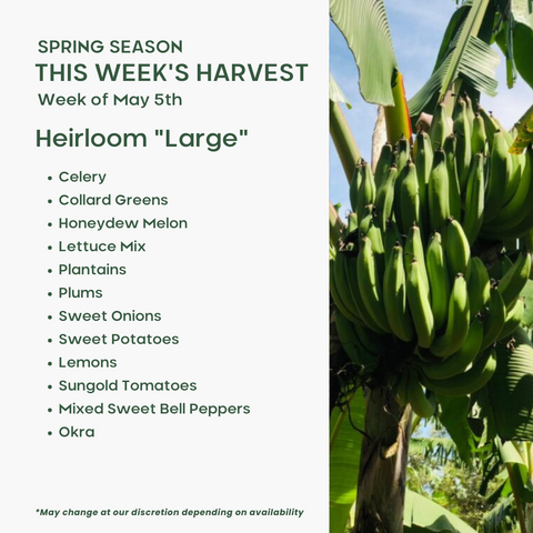 Heirloom