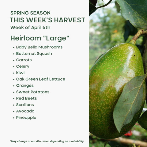 "Heirloom" (Large), Mixed Fruit and Veggie