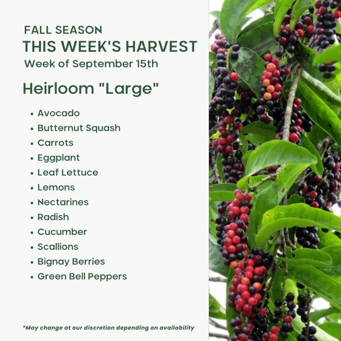 Heirloom