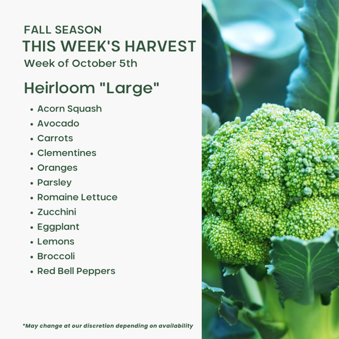 "Heirloom" (Large), Mixed Fruit and Veggie