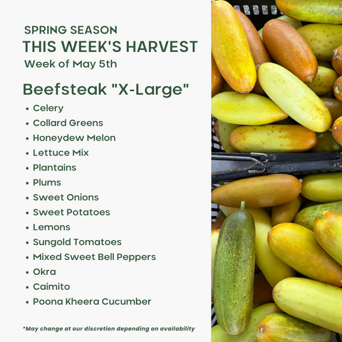 Beefsteak