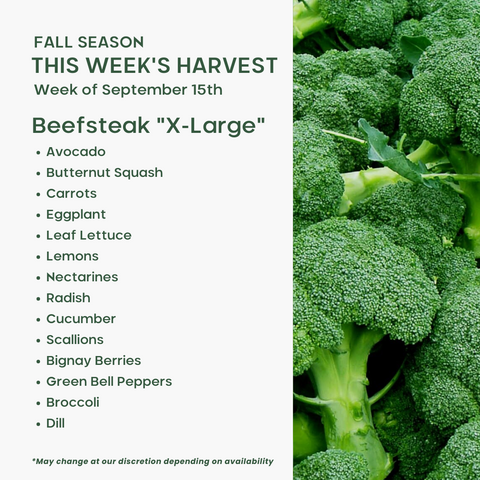 Beefsteak