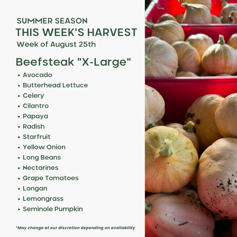 Beefsteak