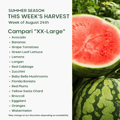 "Campari" (XXL), Fruit & Veggie Mix
