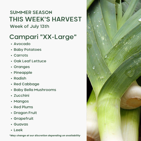 "Campari" (XXL), Fruit & Veggie Mix