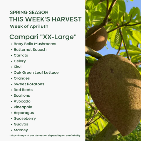 "Campari" (XXL), Fruit & Veggie Mix