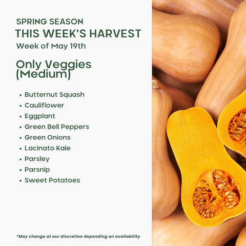Only Veggies (Medium)