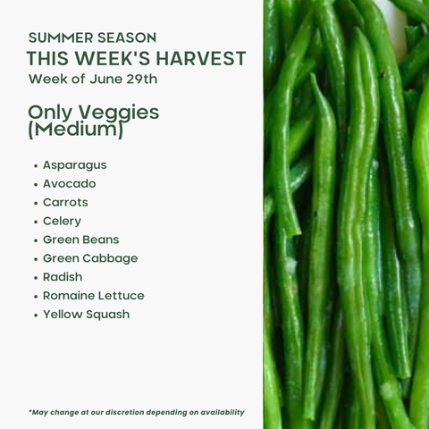 Only Veggies (Medium)
