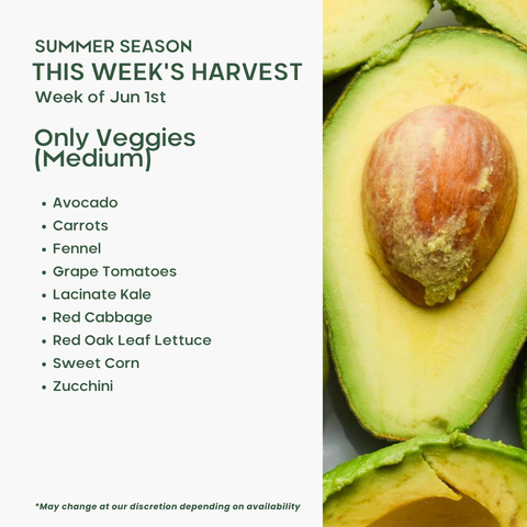 Only Veggies (Medium)