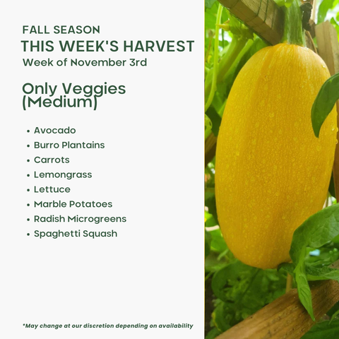 Only Veggies (Medium)