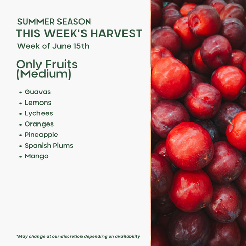 Fruits