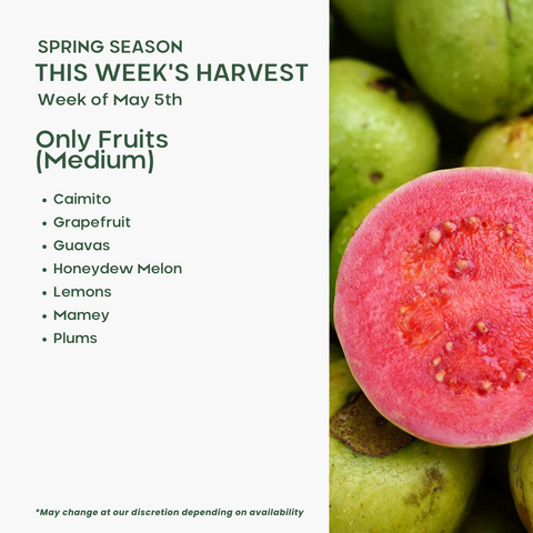 Fruits