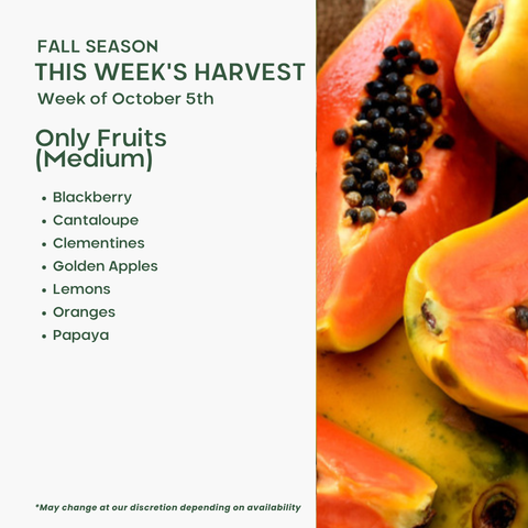 Only Fruits (Medium)