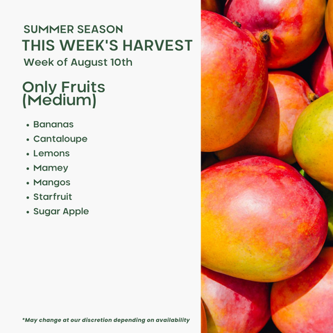 Only Fruits (Medium)
