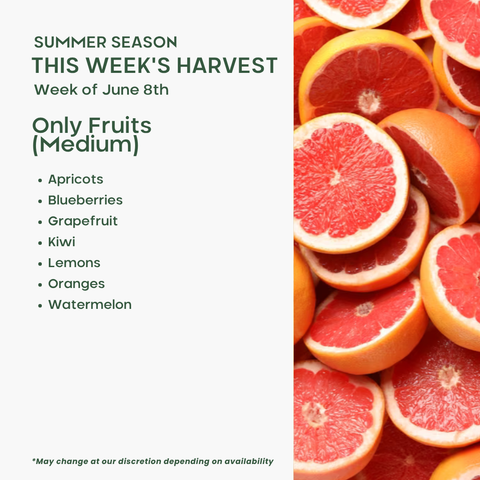 Only Fruits (Medium)