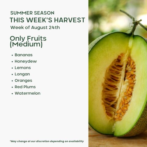 Only Fruits (Medium)