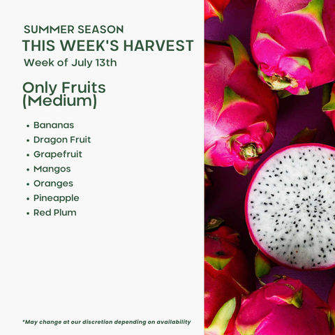 Only Fruits (Medium)