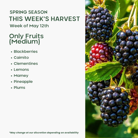 Fruits
